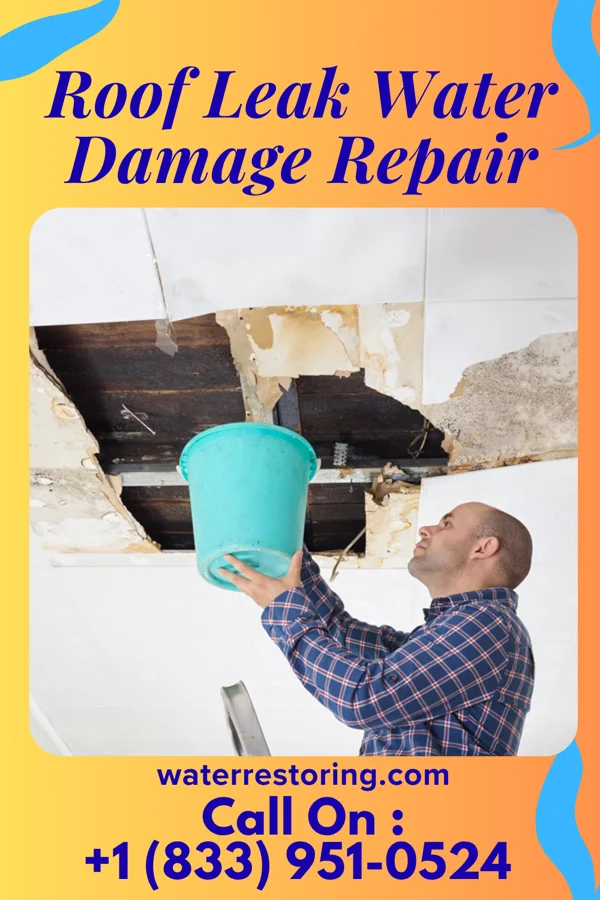 Roof Leak Water Damage Repair in Potter, WI